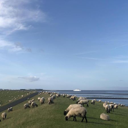 Apartament Wind Und Meer - Traumhaft An Der Nordsee Norddeich  Zewnętrze zdjęcie