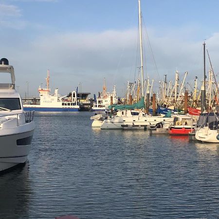 Wind Und Meer - Traumhaft An Der Nordsee Norddeich  Zewnętrze zdjęcie