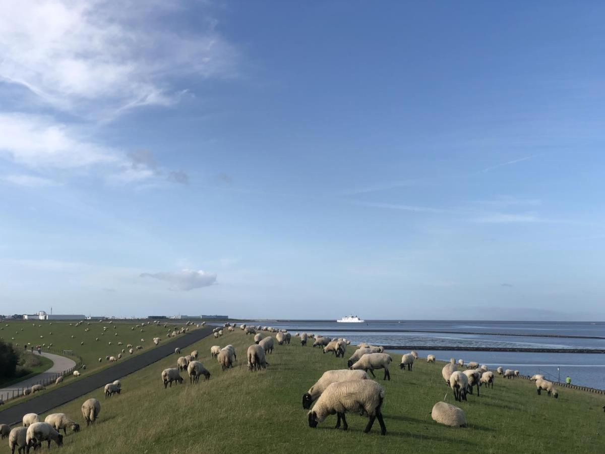 Apartament Wind Und Meer - Traumhaft An Der Nordsee Norddeich  Zewnętrze zdjęcie